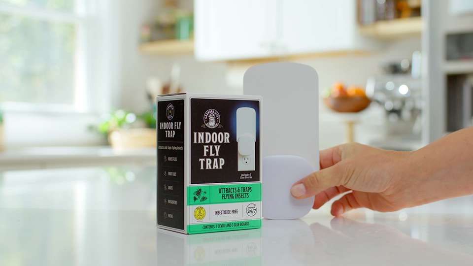 Grandpa Gus Indoor Fly Trap 30s Ad