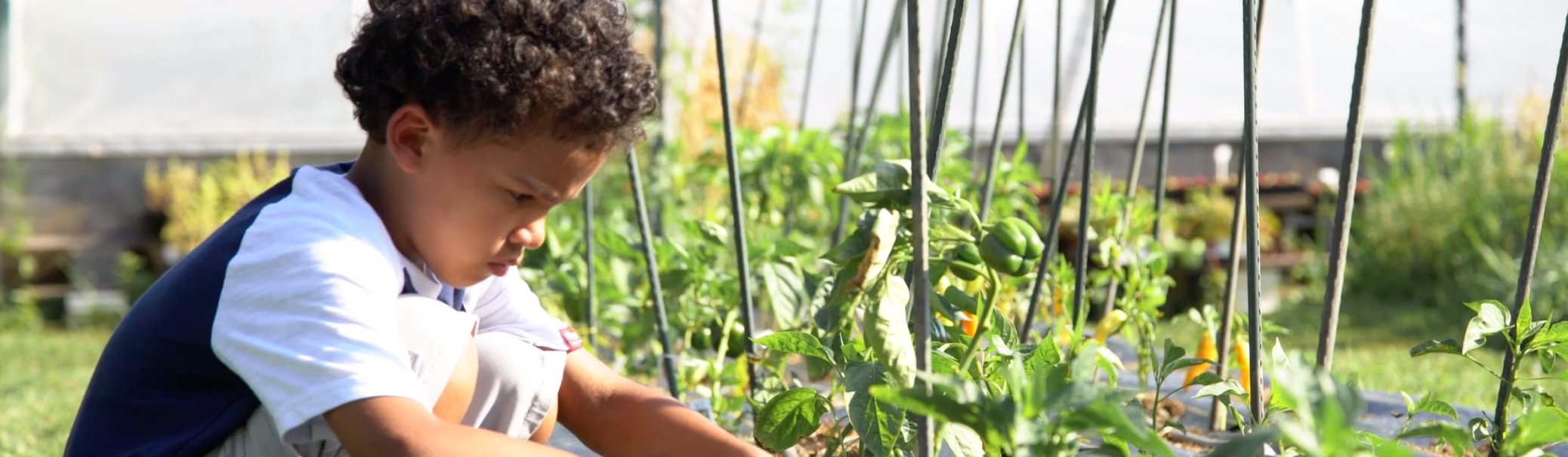 Spotted-Yeti-Media-Video-Agency-Cincinnati_NonProfit_Hero Spotted-Yeti-Media-Video-Agency-Cincinnati_NonProfit_Hero