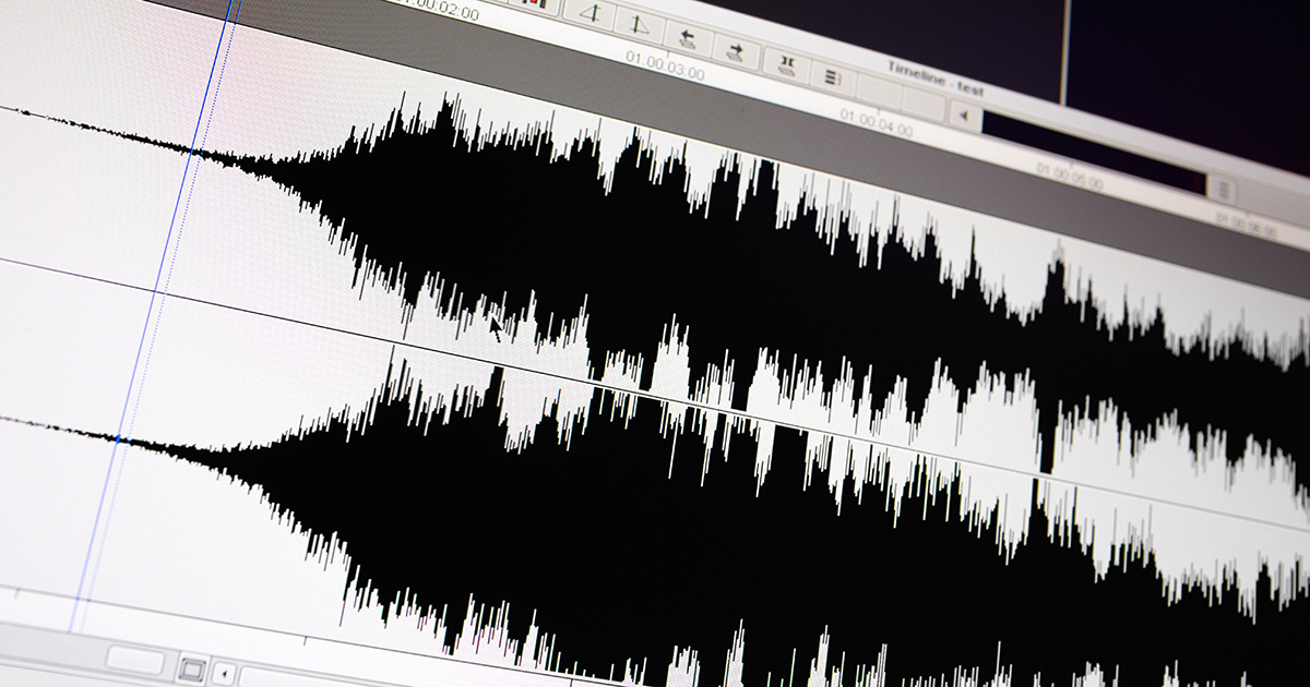 Waveform from an audio editing app.