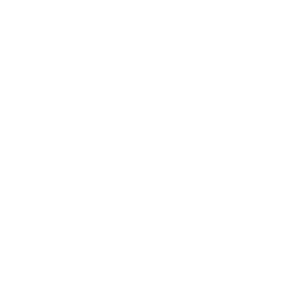 Video Audience Profiles Icon